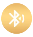 Bluetooth