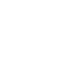 Dedicated AI Core