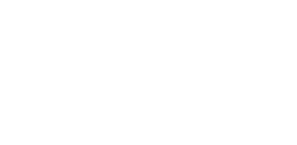 tom's guide